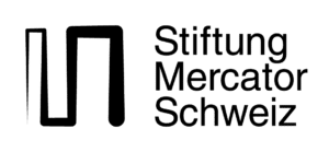 Stiftung Mercator Schweiz Logo